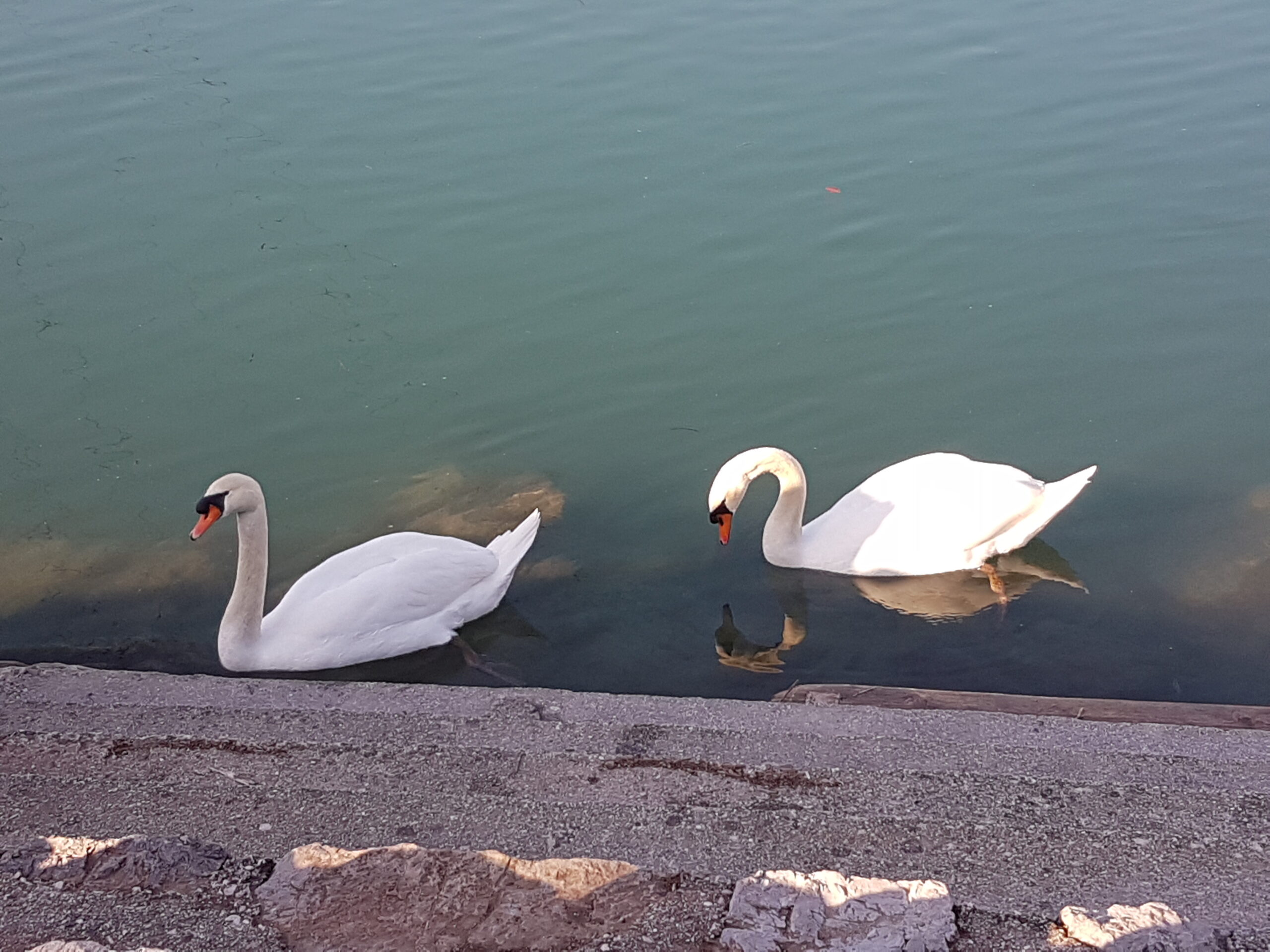 Izleti blizu LJ: Zbiljsko jezero in Trboje