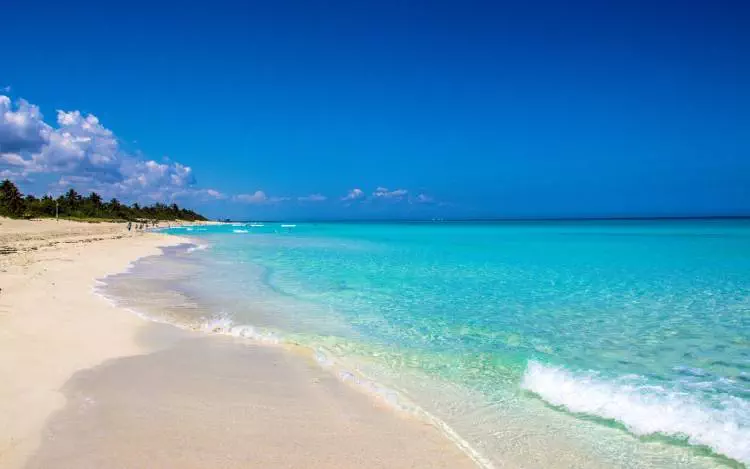 najlepše plaže na svetu, best beaches in the world, najlepša plaža na svetu, seznam najlepših plaž na svetu, naj plaže na svetu, peščene plaže, romantične plaže, brazilija, aruba, najlepše plaže 2023, best beaches 2023, the most beautiful beach in the world, sandy beaches, tripadvisor, trip advisor, morje, počitnice, ocean, ocean, sea, sun, summer, poletje, poletne počitnice, šolske počitnice, indija, portugalska, baia do sancho, brazilija, eagle beach, aruba, cable beach, broome, avstralija, reynisfjara beach, vik, isladnija, grace bay beach, turks and caicos, karibi, plaže na karibih, praia da falesia, algarve, indija,  Spiaggia dei Conigli, Varadero beach, Cuba, Kaanapali beach, Lahaina, Maui, Hawaii