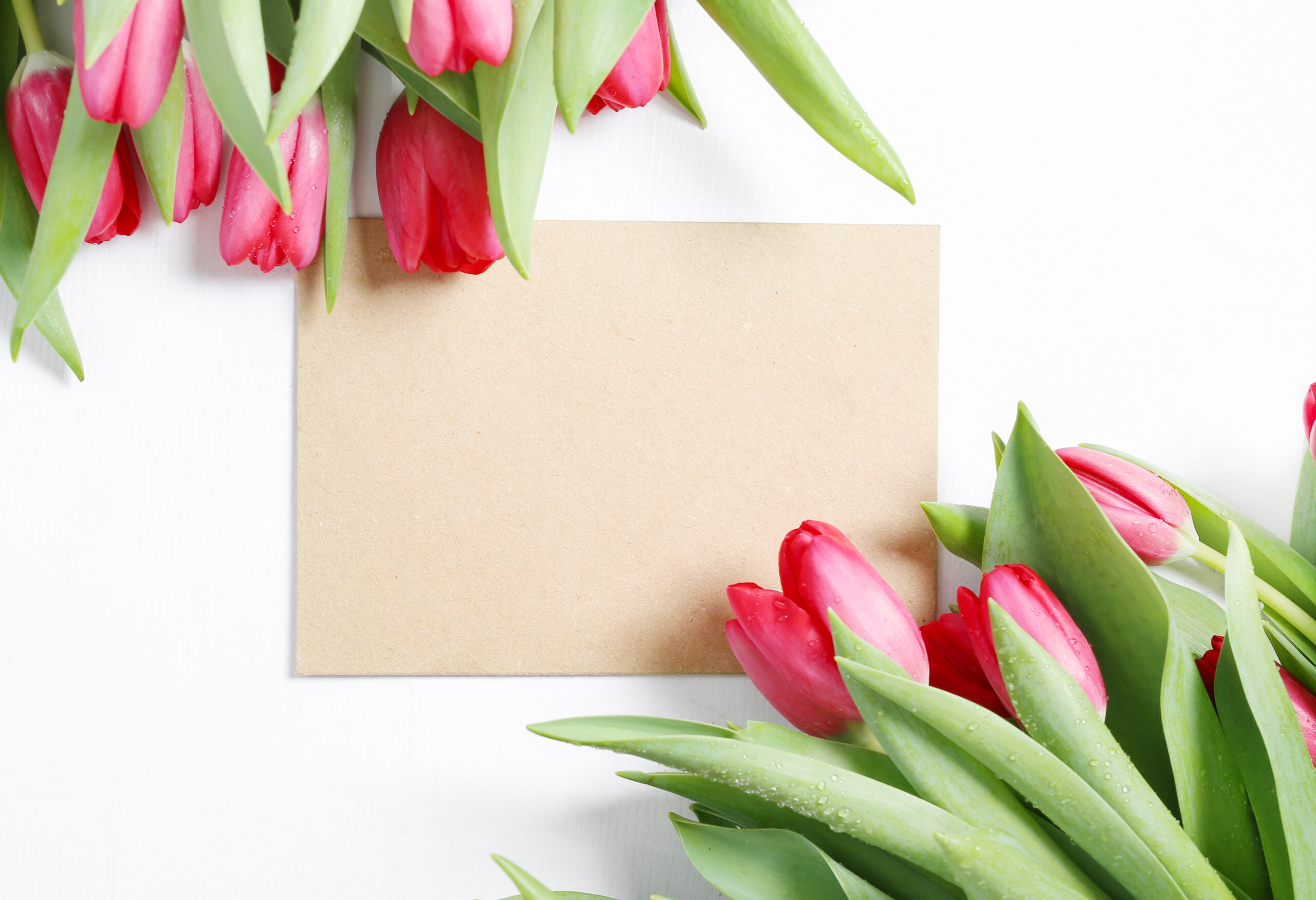 dan žena, čestitke za dan žena, dan žena voščilo, voščilo za dan žena, materinski dan, tulipani, rdeči tulipani, šopek rož, žena, ženska, mama, 8. marec, 8. marec dan žena, materinski dan